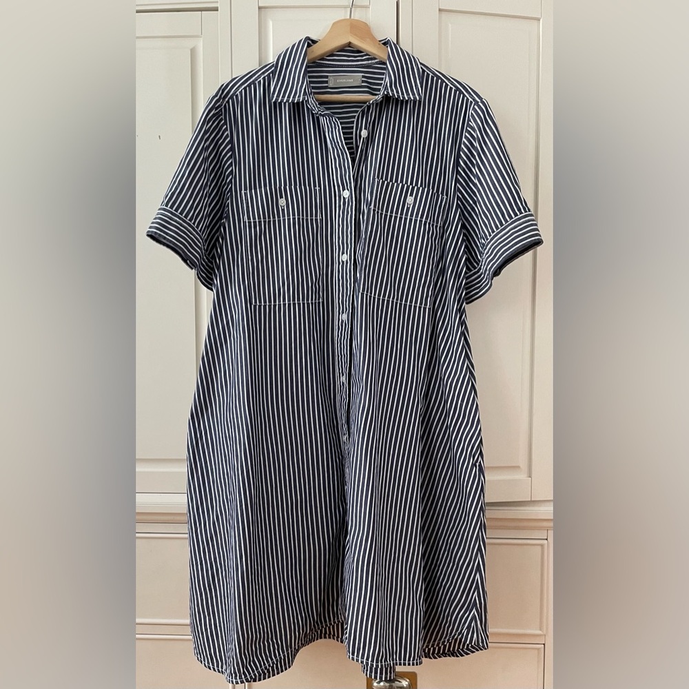 Everlane Daytripper Dress